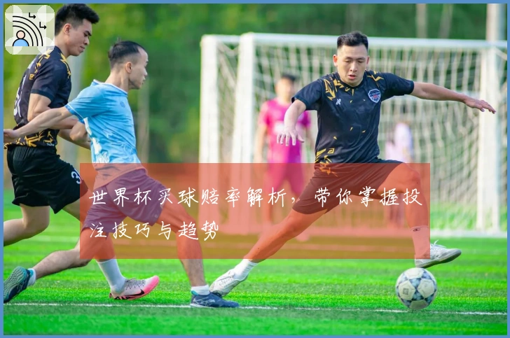 世界杯买球赔率解析，带你掌握投注技巧与趋势