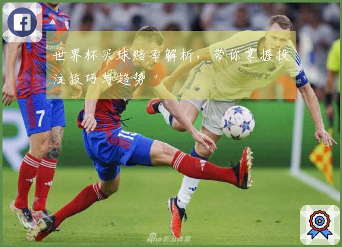 世界杯买球赔率解析，带你掌握投注技巧与趋势